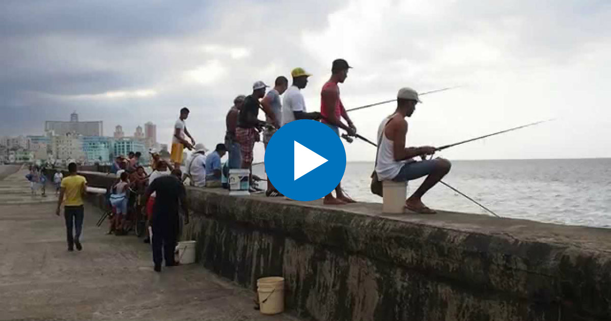Pescadores lanzan sus anzuelos en El Malecón de La Habana © Youtube 