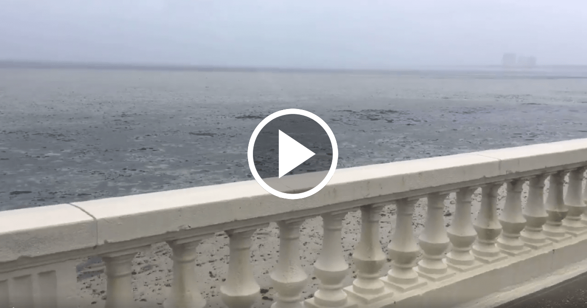 Huracán Irma “se lleva” toda el agua de la bahía de Tampa - CiberCuba