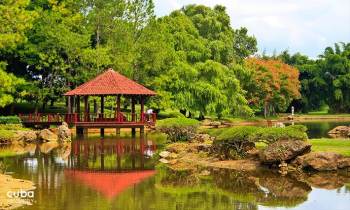 El Jardín Botánico Nacional de Cuba