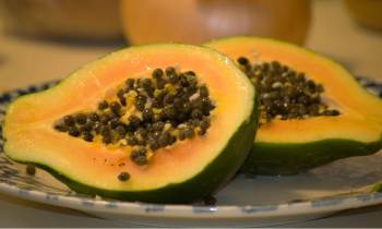 ¿Por qué en Cuba llamamos ‘papaya’ a lo que tú sabes?