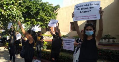 Animalista relata detalles de la protesta por la ley de Binestar Animal en Cuba 