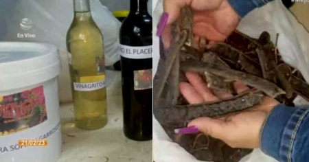 Elaboran productos con semillas de algarrobo en oriente de Cuba: "Es un súper alimento"