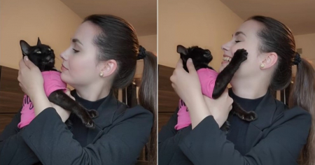 Emotivo: Animalista cubana Beatriz Batista logra reencontrarse con su gata en EE.UU. 