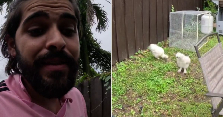  Influencer cubano enfrenta amenaza de demanda en Miami por el ruido de su gallo