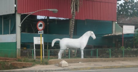 Custodio en estado grave tras ser herido durante robo en agromercado en La Habana