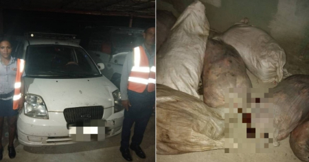 Policía incauta auto cargado de carne de res en punto de control entre Granma y Las Tunas