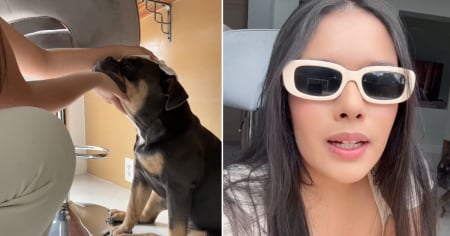 Cómo es trabajar de dog sitter en Estados Unidos: Colombiana en Miami cuenta su experiencia