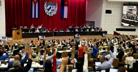 Asamblea Nacional abordará problemas planteados durante fantasmagórico proceso de "rendición de cuentas"