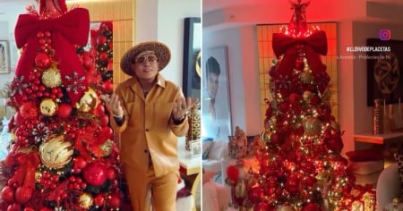 De rojo, para atraer más amor en el 2025: Así es el árbol navideño de El Divo y su esposo Roy García