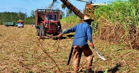 Gobierno califica de "vergonzoso" que Cuba tenga que importar azúcar