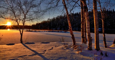 ¿Por qué el solsticio de invierno es el día más corto del año?