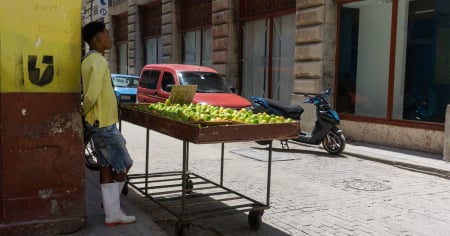 Noticias de Cuba hoy 1 de enero de 2025: Letra del Año revelada por la Asociación Yoruba, Sandro Castro causa polémica con felicitación y el dólar se cotiza a 305 pesos cubanos