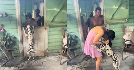 "Pensé que no me reconocería": La reacción de un perro al reencontrarse con su dueña en Cuba emociona en TikTok