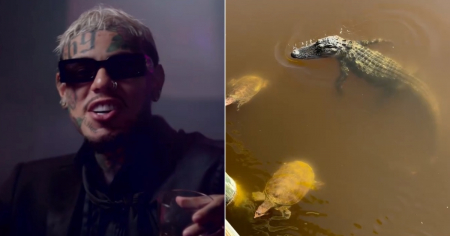 Tekashi 6ix9ine le crea cuenta en Instagram al cocodrilo de su patio y logra 16 mil seguidores en solo dos horas