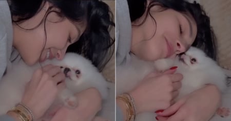 Daniela Reyes feliz de tener a su mascota Coffee en Miami: "Llegó a acompañarme"