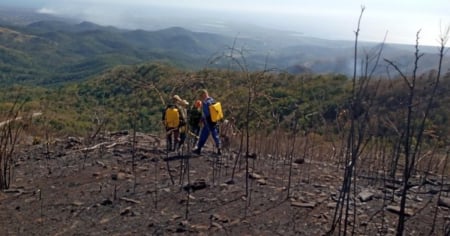 Incendio forestal causa daños en área protegida de Trinidad, Sancti Spíritus