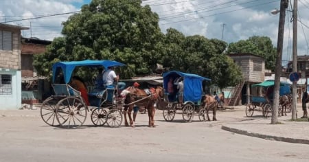 Cochero agrede a inspectora tras recibir multa de 16 mil pesos en Santiago de Cuba