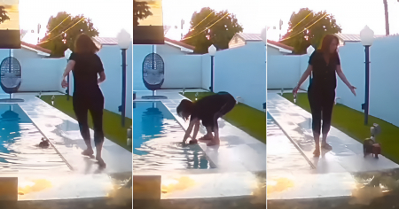 Cubana en Miami rescata a su perro de la piscina y reacciona así: “¡Cojontra!”