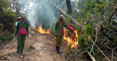 Incendio arrasa casi 3 mil hectáreas de bosques en Pinar del Río, autoridades prometen "dar golpe definitivo"