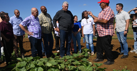 Díaz-Canel asegura que Cuba tiene más tierra sembrada que en otras etapas