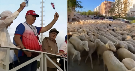 “Marcha de carneros”: los memes más virales del Primero de Mayo en Cuba