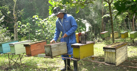 Producción de miel de abejas se desploma en Sancti Spíritus: Peor arranque en una década