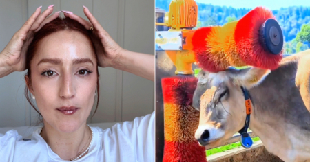 Influencer cubana reflexiona sobre curiosidades en Suiza: "Las vacas tienen mejor calidad de vida que tú y que yo"