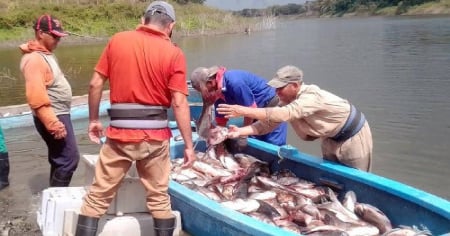 Se esfuman los peces en la presa Zaza en Sancti Spíritus y el gobierno culpa al clima