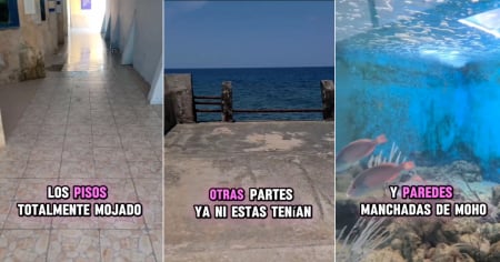 Cubana lamenta estado del Acuario Nacional: "Todo parecía estar abandonado a su suerte"
