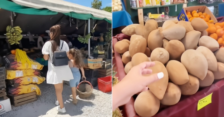 Así respondió una cubana a quienes le dijeron que vivía en el campo de Miami: "Te pasaste"