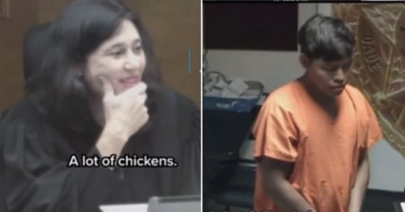 Inmigrante enfrenta juicio por perseguir un pollo hasta base militar de Florida: Le impusieron un dólar de fianza