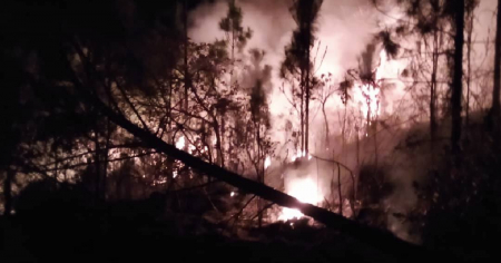 Incendio afecta unas 200 hectáreas de bosques en Minas de Matahambre, Pinar del Río, y amenaza con expandirse