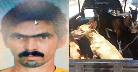 Detienen en Cienfuegos a abusador y asesino de animales tras hallazgo de cementerio en su casa