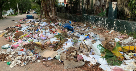 Basurero provoca plaga de moscas y ratones cerca del Instituto de Hematología e Inmunología en el Vedado