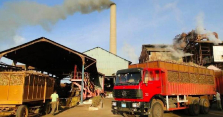 Cuba registra la producción de azúcar más baja desde el siglo XIX