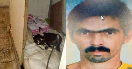 Vocero del régimen explica por qué fue liberado presunto abusador de animales en Cienfuegos