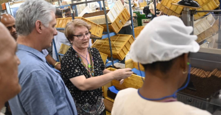 Plusvalía comunista: Fábrica de tabacos cubana factura decenas de millones y paga 30 dólares a sus obreros