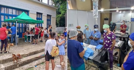 Organización estadounidense Spanky Project apoya esterilización de más de 500 animales en La Habana