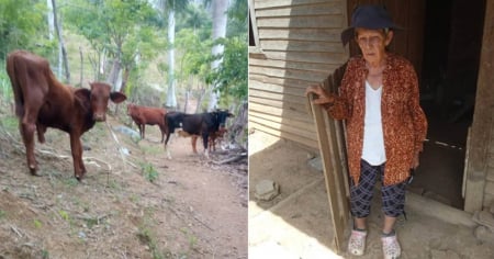 Video muestra a funcionarios admitiendo despojo de finca y animales a los Ruiz Urquiola en Viñales 