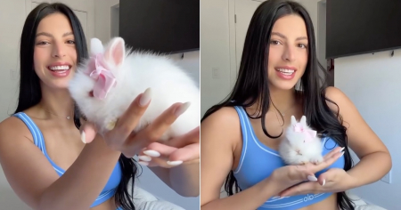 ¡Su nombre es Kitty! Rachel Arderi presenta en redes a la nueva integrante de la familia