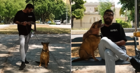 ¿Un perro sato puede aprender? Mira lo que logra este entrenador canino en Cuba