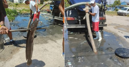 Aguas de La Habana saca una enorme claria de una alcantarilla