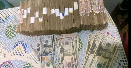 Así cotizan hoy el dólar, el euro y el MLC en el mercado informal cubano