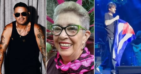 Profesora de la Universidad de Las Villas critica a artistas que apoyan a estudiantes cubanos