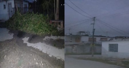 Empresa Eléctrica corta un cable por error al podar un árbol y deja 24 horas sin luz a un barrio de Holguín 
