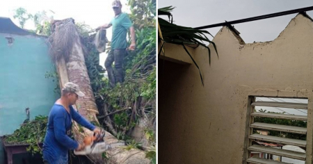 Devastadoras imágenes de casa donde cayó una palma y resultó herida una mujer en Mantua, Pinar del Río 
