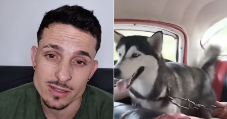 Influencer cubano celebra aparición de su perra: "Gracias a su solidaridad y a este pequeño acto de amor"