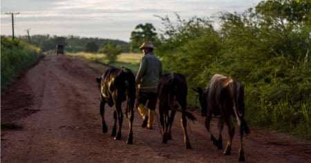 Torturan y asesinan a campesino de 70 años en Santiago de Cuba
