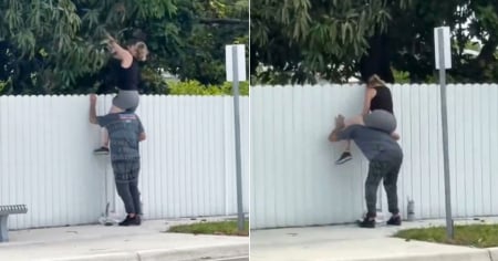 Así se roban mangos en Hialeah: Tutorial no autorizado