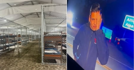 La plaga de mosquitos en Alligator Alcatraz es insoportable y ni el repelente los detiene